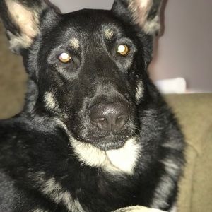 Meet your Posher, Janelle